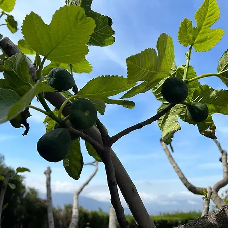 Rustica En La Alpujarra - La Gualalla - Soportujar Villa
